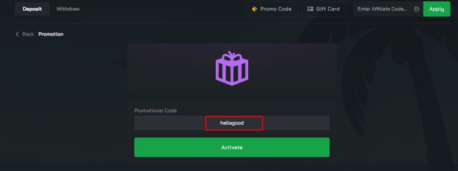 enter the promo code